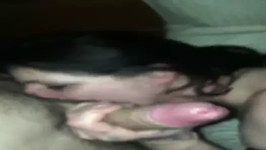 Puma olgun gros chienne