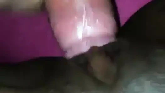 Beyaz horoz creampies siyah kedi