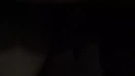 Kedi ihtiyaçlar çük