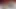 Unleashed Sofia Cucci büyük bir dildo emiyor