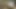Dildo ile aşırı mastürbasyon