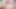 Götümü tek başıma siken bir dildo evcilleştirme