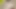 Trish metro 3d hentai - kalça fetişi, bakış açısı domaltmalı göt, sansürsüz animasyonda kaşıklama dölleme