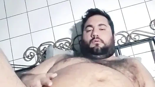 Şişman edepsiz domuz 2