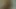 O isteyerek ağzına cömert bir cumshot kabul eder.