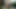 Herzog Videos Nackt und Kess am Konigssee