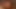 Sonya reed verir bir harika pov oral seks
