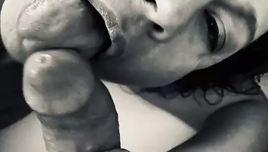 Sıcak eş emme üzerinde bulls horoz