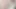 Testte Charlie Forde, Casey Calvert