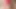 THE BEST HANDS-FREE Cumshot Big Load Cutest Ladyboy Shemale Cumming