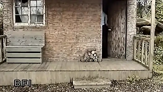 Şaplak atma reminiscences - dvd -