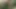 Kız arkadaşımın fışkırtmadan önce parkta amına mastürbasyon yaparken izliyorum