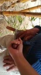 Vendedor en el parque me deja ver su pene