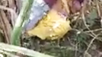 Desi tamil kız arkadaş kahrolası onun erkek arkadaş içinde the orman