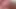 bir gün için İtalyan eş değiştirenler porno yıldızı