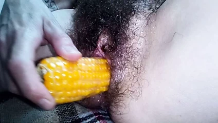 Yavaş çalı kıllı kedi 4