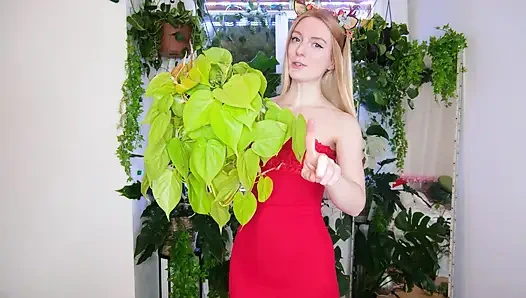 Noel için yedirdim bitkiler