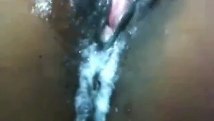 Kremsi siyah kedi yakın yukarı 65