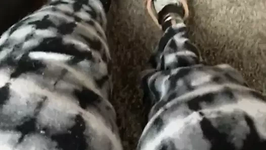 Protez bacaklı Sak ampute