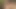 Porno yıldızı funda starlet yıldızlara fışkırtıyor