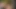 Zenci evli kadın büyük zenci istiyor ve kocası ona izin veriyor