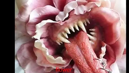 satyriasiss tarafından çiçek büyükanne