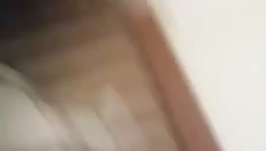 Cachorra gemendo