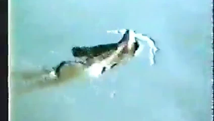 Kıllı koltukaltları olan bir ampute yüzen kız