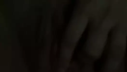 KEDİ oyun
