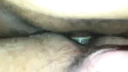 Siyah ayı beni sikiyor 2