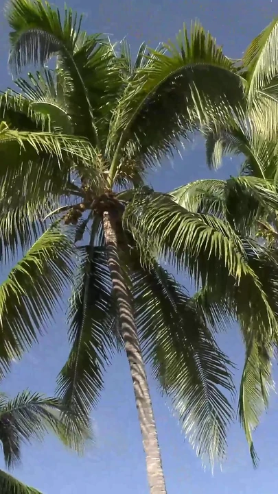 Tatil Flörtü Her Yerde Sikişiyorlar