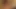 Busty Asya lezbiyen parmaklı ve kedi yaladı tarafından gf