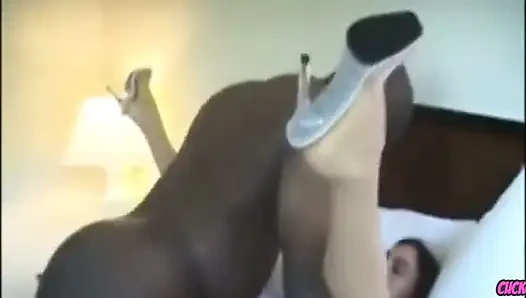 Aldatılan orta yaşlı seksi kadın - gavat orta yaşlı seksi kadın hepimiz gavat oyunu hakkındayız. Arkadaşlarım ve ben sert eş değiştirenleriz ve tanışmak isterim