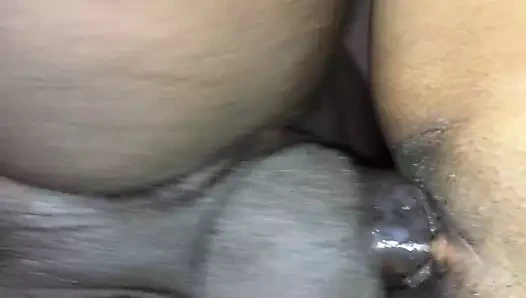 Derin okşayarak bir sıcak ıslak Latin kedi