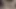 Pakistanlı üniversite öğrencisi öğretmenle sakso çekiyor ve yarağa biniyor