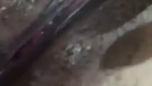 Bebeğim - onu kedi alay