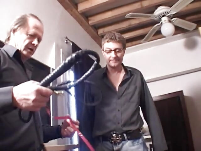 Rex ve Mirza 1
