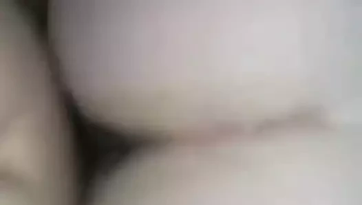 Başka bir kedi çarptım