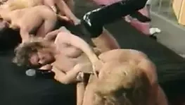 Aynı seks partisi içinde azgın kadın meclisi