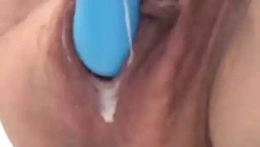 Kremsi kedi ve oyuncak