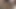 Christa am Holzstoss