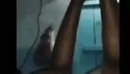 Desi kız kedi creaming