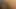 Web kamerası modeli aldatan latin orta yaşlı seksi kadın yakın çekim: parmaklar amcık ve göt + kadın boşalmasına elektrikli dildo sikişi görünür