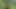 You Must See This! Mowing the Lawn While Sucking Dick with Sluttyshanna