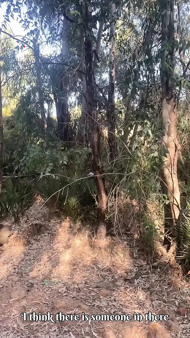 Ormanda güzel bir yabancıyla tanışıyorum, böyle bir beyefendi