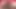 Seksi zenci iri güzel kadın Daphne Daniels kendini boşaltıyor
