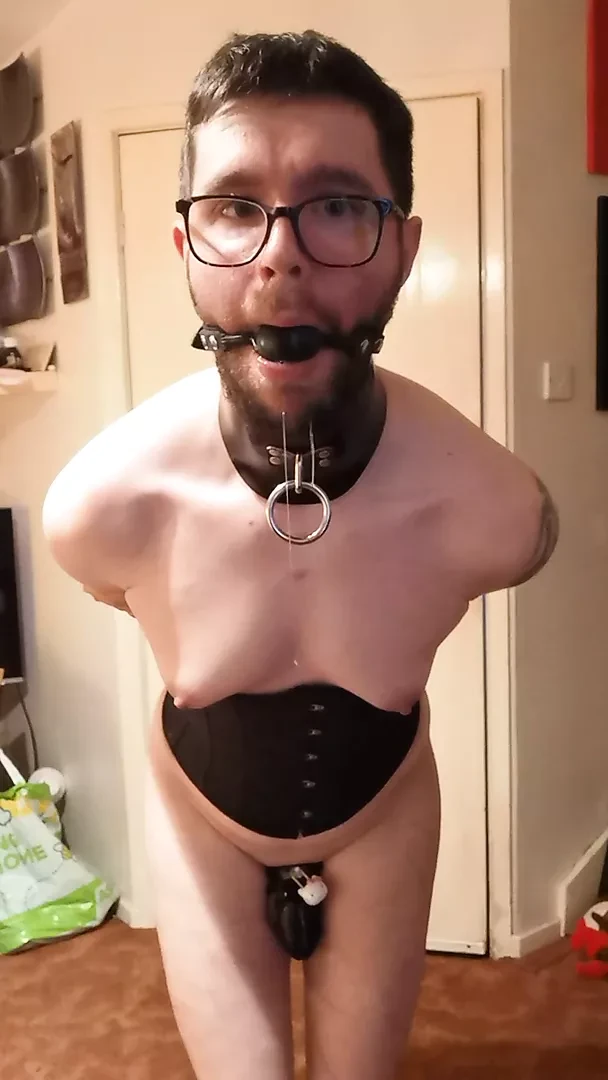 4eyed sarkık sarkık korkak orospu içinde iffet