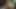 Kötü sesin en iyi animasyonlu 3 boyutlu porno derlemesi 624