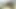 Ganimet abanoz bbw yapar bir yarım yamalak oral seks ve twerks büyük göt