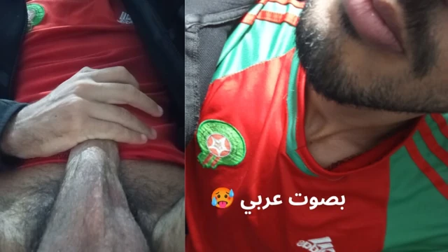 Faslı Afrikalı aslan ona itaatsizlik etmek isteyen bir kişiyi çağırıyor